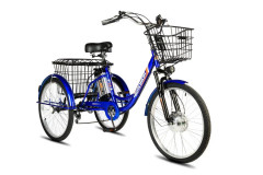 Электровелосипед РВЗ Чемпион 24