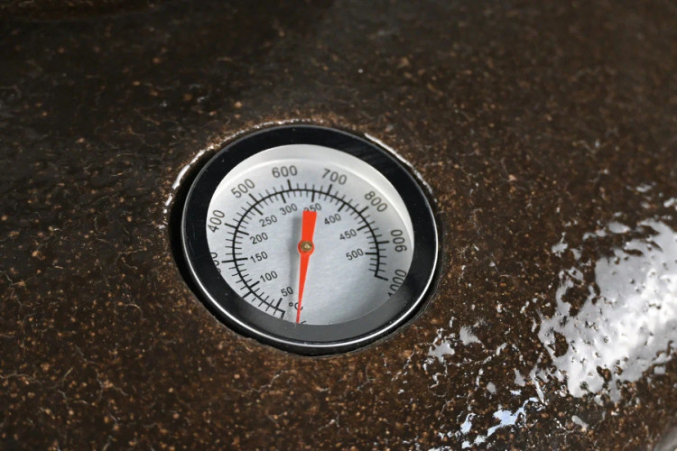 Тандыр Арслан во Владивостоке