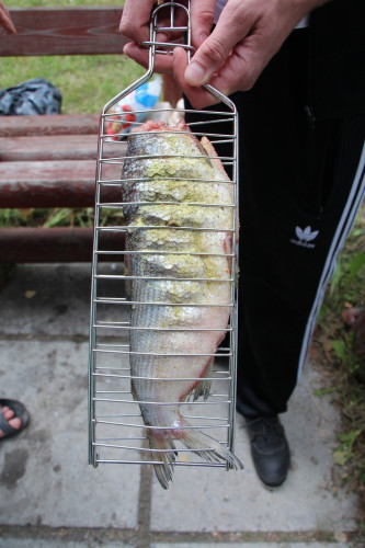 Решетка для рыбы во Владивостоке