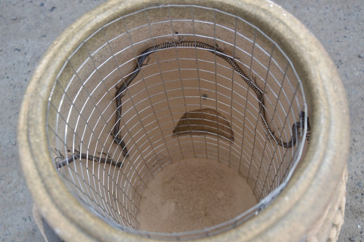 Тандыр Электрический Малый во Владивостоке