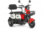 Электротрицикл Rutrike Gelbert Vega во Владивостоке