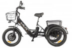 Электрофэтбайк Eltreco Green City e-ALFA Trike во Владивостоке