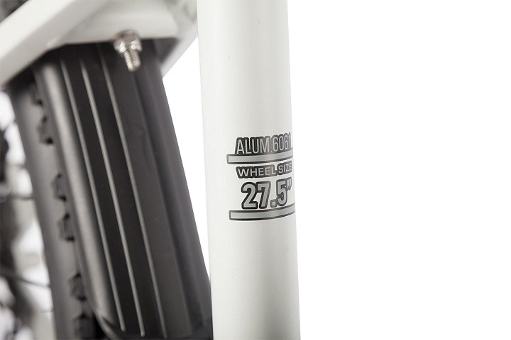 Электровелосипед Gelbert Ran 1 ST во Владивостоке