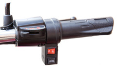 Грузовой электрический трицикл Rutrike Антей Pro 1500